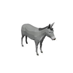 Donkey